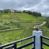 Отель Cloud Nine Kothagiri By Lexstays, фото 10