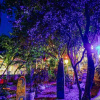 Отель Macaco Surf House - Hostel, фото 32