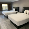 Отель Willow Tree Inn & Suites, фото 11