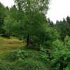 Отель Apartment Near Willingen With Private Terrace, фото 19