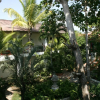 Отель Bay View Hotel, фото 11