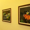 Отель Beauty Green Resort Homestay B&B, фото 7