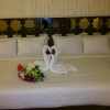 Отель Excelencia Hotel Suites, фото 3