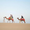 Отель Ozaki Desert Safari Camp, фото 20
