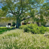 Отель Spoleto Biofarm - 8 Guests - With Salt Water Pool - Beautiful Exclusive Grounds, фото 29