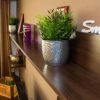 Отель Studio 37 RedBed Self Catering Apartments, фото 16