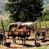 Отель Agriturismo Montagnola Abruzzo, фото 9