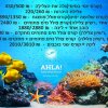 Отель Ahla Diving Center, фото 9