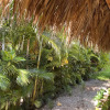 Отель Las Terrenas - Caribbean Villa for 6 People - Exceptional Location, фото 20
