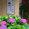 Отель Dongjiang Lake No.1 Courtyard Tea Culture Theme Hotel, фото 13