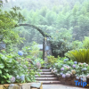 Отель Mohsen oxygen bar manor in Mogan mountain, фото 10