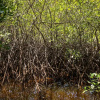 Отель Suites Luxury Outeiro Espelho, фото 14
