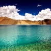 Отель TIH Pangong Lake View Cottages and Camps, фото 14