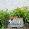 Отель Jeju Pureunseom Guest House, фото 1