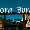 Отель Bora Bora Pousada в Бомбиньясе