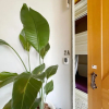 Отель Sennong Homestay, фото 16