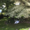 Отель Rierhof, фото 19