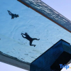 Отель Moganshan Sky Swim Villa, фото 3