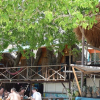 Отель Hostal el Encanto de los Corales, фото 22