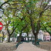 Отель The Mulberry Tree Lisbon Hostel, фото 17