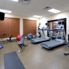 Отель Embassy Suites by Hilton Greensboro Airport, фото 19