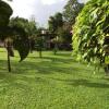 Отель Le bungalow des bougainvilliers, фото 8