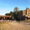 Отель Agriturismo La Valentina Nuova, фото 6