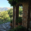 Отель Aphrodites Inn, фото 7