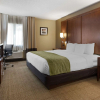 Отель Comfort Inn Romeoville - Bolingbrook, фото 5