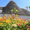 Отель Trulli Del Bosco, фото 30