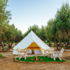 Отель Guadalupe Valle Glamping, фото 7