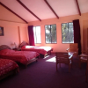 Отель Hostal Real Los Andes del Lago, фото 5