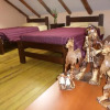 Отель Okidoki Cusco Hostal - Hostel, фото 15