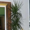 Отель B&B Delle Palme, фото 10