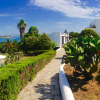 Отель Agionissi Resort Hotel, фото 24