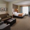 Отель Comfort Suites Hotel and Conference Center, фото 41
