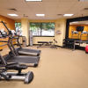 Отель Crowne Plaza Virginia Beach Town Center, an IHG Hotel, фото 17