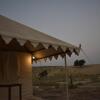 Отель Barna Desert Camp, фото 34
