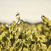 Отель Le Montrachet, фото 7