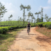 Отель Ama Plantation Trails , Coorg, фото 22
