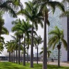 Отель Mercure Brasilia Lider Hotel, фото 1