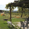 Отель Agriturismo Il Palazzetto, фото 13