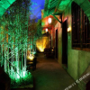 Отель Zhenqing Bieyuan Boutique Hotel, фото 21