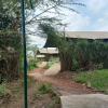 Отель Mara Duma Luxury Camp, фото 9
