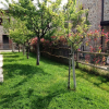 Отель Tognazzi Casa Vacanze - Casa il Frutteto, фото 11