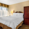 Отель Comfort Inn & Suites Dahlonega University Area, фото 6