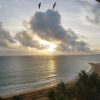 Отель Beach Apartment With Amazing Sunrises, фото 12
