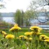 Отель Aspenäs Herrgård, фото 19