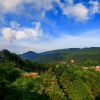 Отель Mount Lu No. 7 Xiangshanyuan Holiday Hotel, фото 12