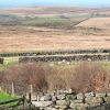 Отель Dartmoor Barn on North Hessary Tor, фото 11